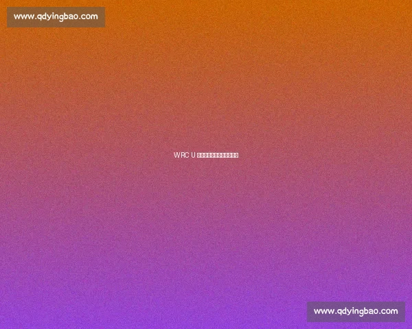 WRC U 型弯:方寸之间的策略博弈 WRC U 型弯:方寸之间的策略博弈