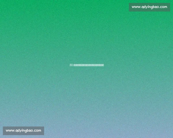 30 年坚守!开拓者冠军往事:逆转传奇与超巨传承 30 年坚守!开拓者冠军往事:逆转传奇与超巨传承